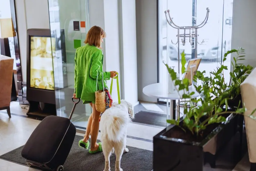 Uma mulher em uma roupa verde passeia com um grande cachorro branco e puxa uma mala preta em direção à porta de saída de vidro de um edifício moderno, que lembra o conforto e o estilo frequentemente encontrados em pousadas pet friendly.